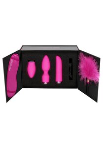 Gift Set Switch #4 Vibrator Pink 