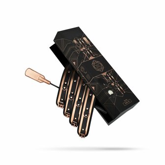 Rosy Gold &ndash; Nouveau BDSM Set | Luxury 9-Piece BDSM Starter Kit