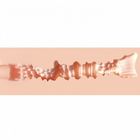 XKIN Secret Affairs Soft and Sweet Delilah Realistischer Masturbator TPE