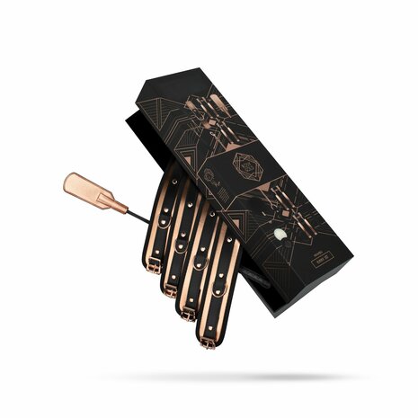 Rosy Gold &ndash; Nouveau BDSM Set | Luxury 9-Piece BDSM Starter Kit