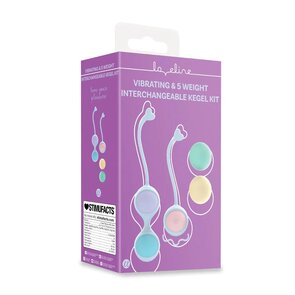  Trillende Kegel-set met 5 verwisselbare gewichten en afstandsbediening.